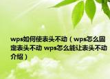 wps如何使表头不动（wps怎么固定表头不动 wps怎么能让表头不动介绍）