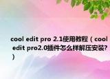 cool edit pro 2.1使用教程（cool edit pro2.0插件怎么样解压安装?）