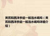 黄芪和西洋参能一起泡水喝吗（黄芪和西洋参能一起泡水喝吗详细介绍）