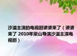 沙溢主演的电视剧婆婆来了（婆婆来了 2010年梁山导演沙溢主演电视剧）