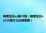 神奇宝贝xy第19集（神奇宝贝xy116集什么时候更新）