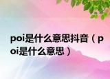 poi是什么意思抖音（poi是什么意思）