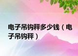 电子吊钩秤多少钱（电子吊钩秤）
