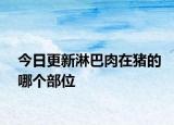 今日更新淋巴肉在猪的哪个部位
