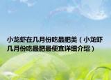 小龙虾在几月份吃最肥美（小龙虾几月份吃最肥最便宜详细介绍）