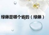 绿藤是哪个省的（绿藤）