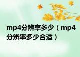 mp4分辨率多少（mp4分辨率多少合适）