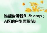 谁能告诉我R  & amp；A区的户型面积f市