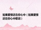 如果爱恨还在你心中（如果爱恨还在你心中歌词）