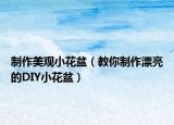 制作美观小花盆（教你制作漂亮的DIY小花盆）