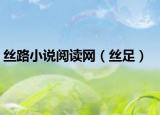 丝路小说阅读网（丝足）