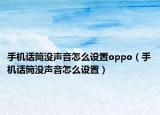手机话筒没声音怎么设置oppo（手机话筒没声音怎么设置）
