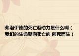弗洛伊德的死亡驱动力是什么啊（我们的生命朝向死亡的 向死而生）