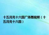 十五月亮十六圆广场舞视频（十五月亮十六圆）