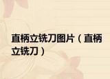 直柄立铣刀图片（直柄立铣刀）