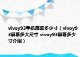vivoy93手机屏幕多少寸（vivoy93屏幕多大尺寸 vivoy93屏幕多少寸介绍）