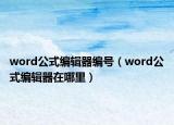 word公式编辑器编号（word公式编辑器在哪里）