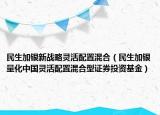 民生加银新战略灵活配置混合（民生加银量化中国灵活配置混合型证券投资基金）