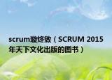 scrum璇炵敓（SCRUM 2015年天下文化出版的图书）