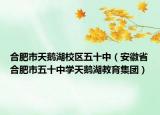 合肥市天鹅湖校区五十中（安徽省合肥市五十中学天鹅湖教育集团）