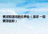 黄河和清河的交界处（清河 一段黄河名称）