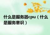 什么是服务器cpu（什么是服务意识）