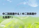 中二到底是什么（中二到底是什么意思?）