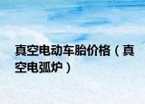 真空电动车胎价格（真空电弧炉）