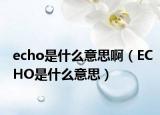 echo是什么意思啊（ECHO是什么意思）
