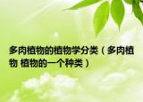 多肉植物的植物学分类（多肉植物 植物的一个种类）