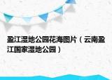 盈江湿地公园花海图片（云南盈江国家湿地公园）