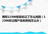携程12306密码忘记了怎么找回（12306忘记用户名和密码怎么办）