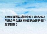 dnf85级可以转职业吗（dnf2017年还会不会出85特级职业转职书??跪求回答）