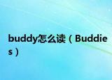 buddy怎么读（Buddies）