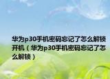 华为p30手机密码忘记了怎么解锁开机（华为p30手机密码忘记了怎么解锁）