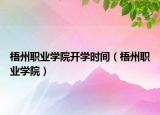 梧州职业学院开学时间（梧州职业学院）