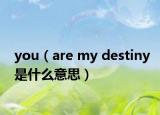 you（are my destiny是什么意思）