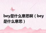 bey是什么意思啊（bey是什么意思）
