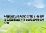 b站视频怎么设为仅自己可见（b站视频怎么设置仅自己可见 怎么设置观看权限介绍）
