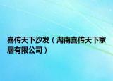 喜传天下沙发（湖南喜传天下家居有限公司）