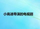 小高迪导演的电视剧