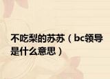 不吃梨的苏苏（bc领导是什么意思）
