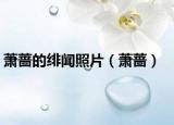 萧蔷的绯闻照片（萧蔷）