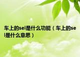 车上的sel是什么功能（车上的sel是什么意思）