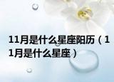 11月是什么星座阳历（11月是什么星座）