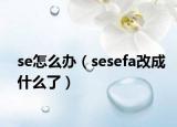 se怎么办（sesefa改成什么了）