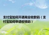 支付宝如何开通商业收款码（支付宝如何申请收钱码）