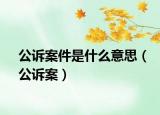 公诉案件是什么意思（公诉案）