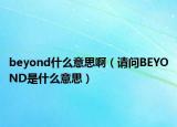 beyond什么意思啊（请问BEYOND是什么意思）