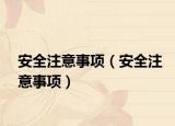 安全注意事项（安全注意事项）